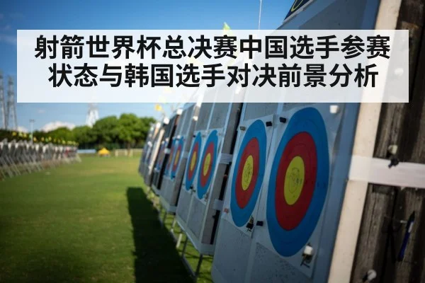 archery competition target